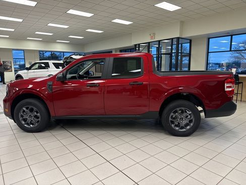 New 2025 Ford Maverick XLT w/ Equipment Group 302A image 13