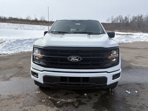 New 2026 Ford F150 XLT w/ FX4 Off-Road Package image 8