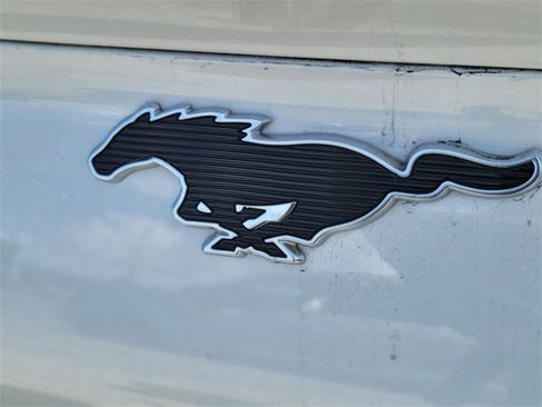 Used 2024 Ford Mustang Mach-E Premium image 5