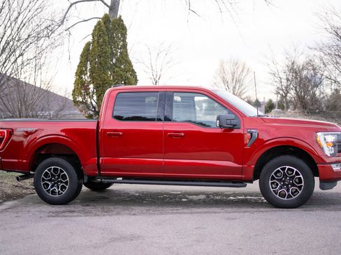 Used 2023 Ford F150 XLT w/ Equipment Group 302A High image 4