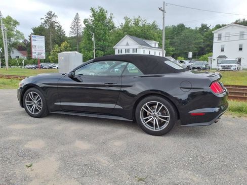 Used 2017 Ford Mustang Premium image 8