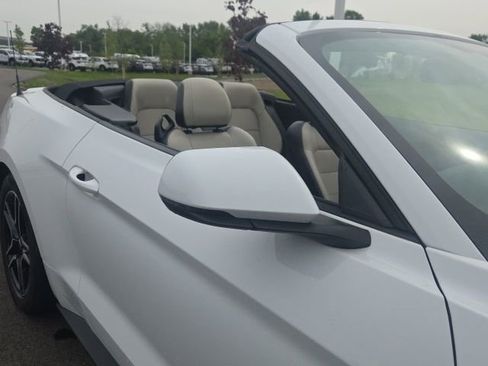 Used 2019 Ford Mustang Premium RWD image 9