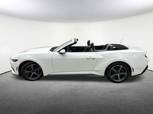 Used 2024 Ford Mustang Premium RWD image 13