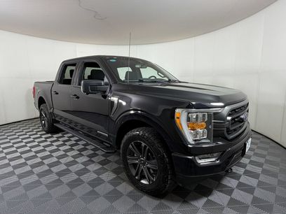 Used 2023 Ford F150 XLT w/ Equipment Group 302A High