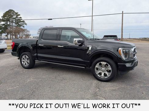 Used 2023 Ford F150 Platinum w/ Equipment Group 701A High AWD/4WD image 1