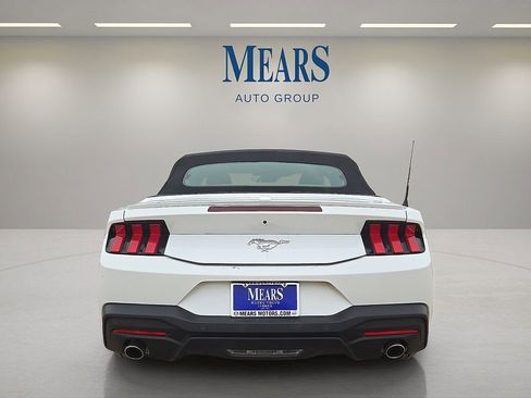 Used 2024 Ford Mustang Premium image 4