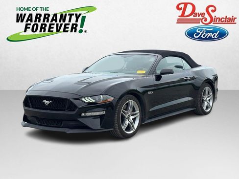 Used 2019 Ford Mustang GT Premium w/ GT Performance Package RWD image 1