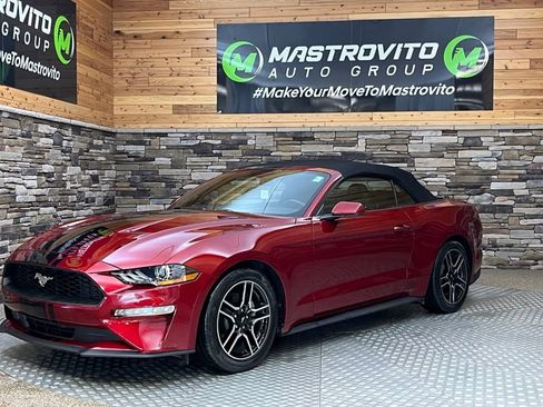 Used 2019 Ford Mustang Convertible w/ Equipment Group 101A RWD image 9
