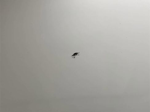 Used 2021 Audi Q5 Premium Plus image 37