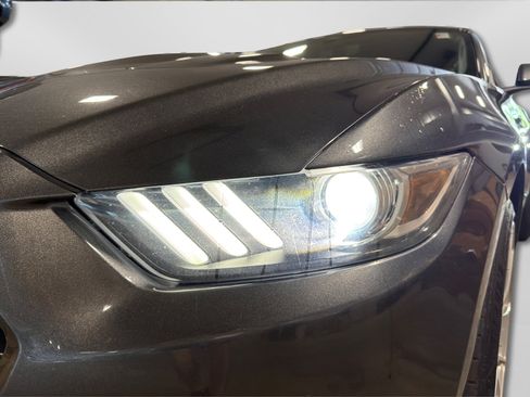 Used 2015 Ford Mustang GT Premium w/ Equipment Group 401A RWD image 13