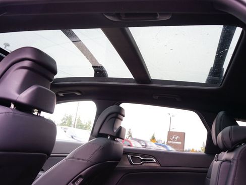 Used 2024 Kia Sportage X-Line Prestige image 22