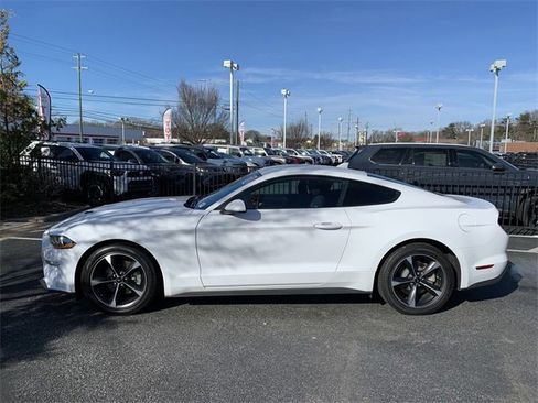 Used 2023 Ford Mustang EcoBoost w/ Equipment Group 101A image 5