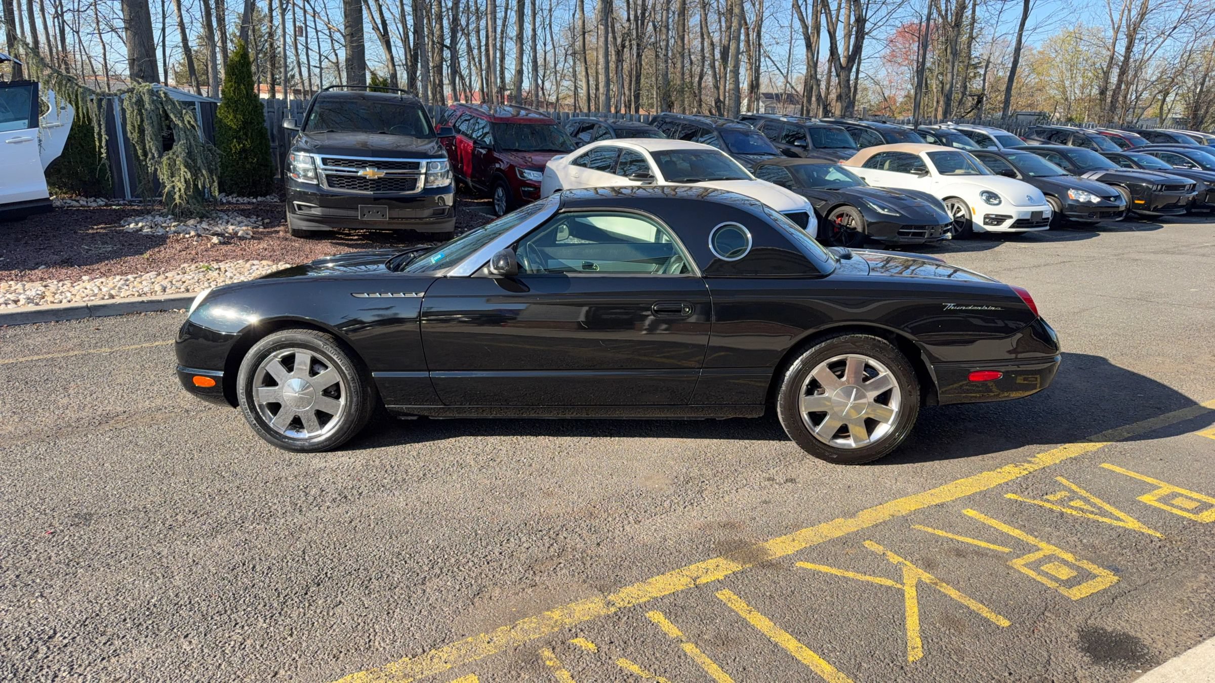 Used 2002 Ford Thunderbird RWD image 8