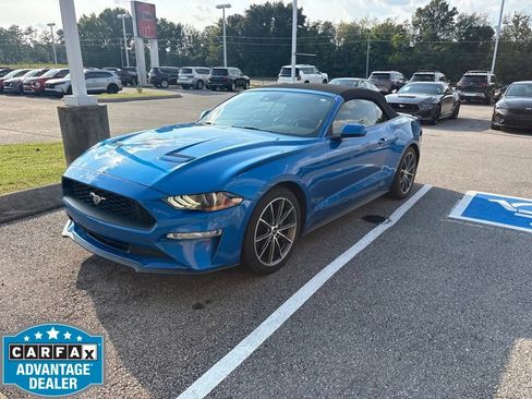 Used 2019 Ford Mustang Premium w/ Equipment Group 201A RWD image 1