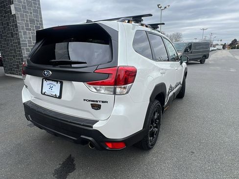 Certified 2025 Subaru Forester Wilderness AWD/4WD image 7