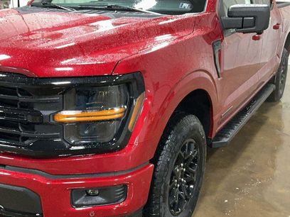 New 2025 Ford F150 XLT w/ Equipment Group 302A MID