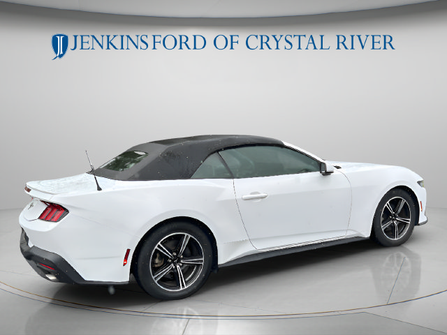Used 2024 Ford Mustang Premium RWD image 6