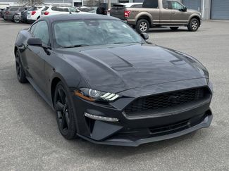 Used 2023 Ford Mustang Premium w/ Mustang Nite Pony Package video 2