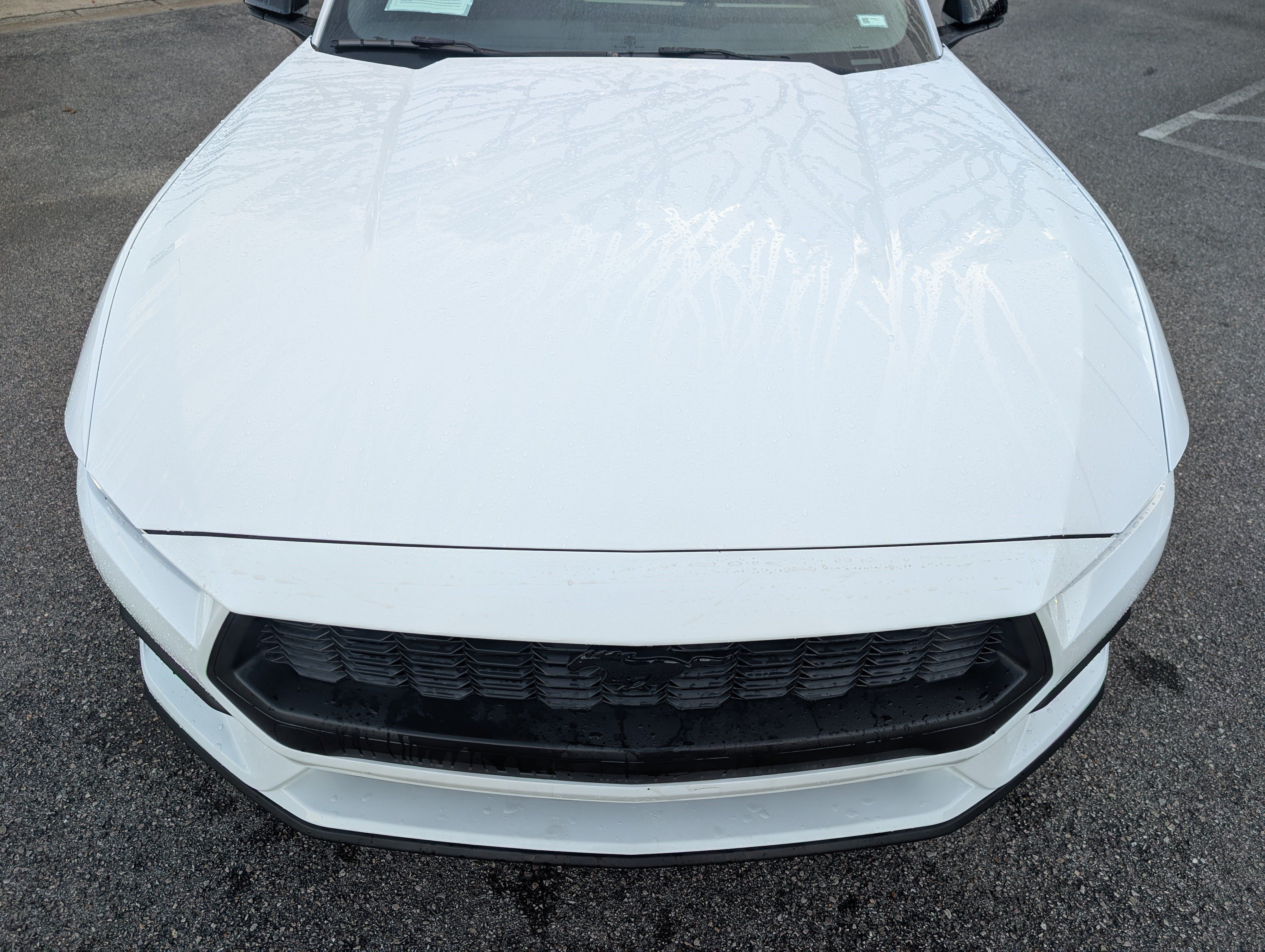 Used 2026 Ford Mustang Premium RWD image 12