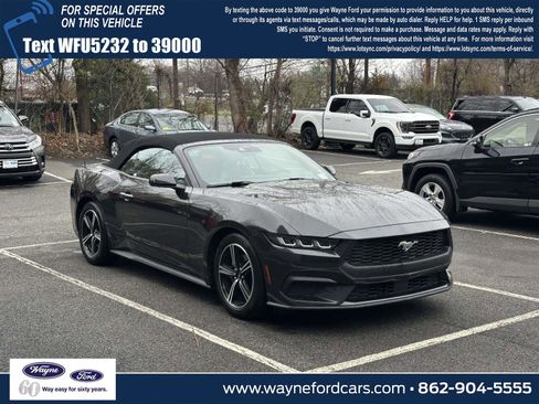 Used 2024 Ford Mustang Premium image 1