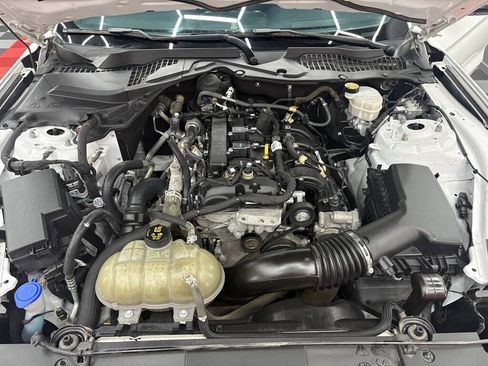 Used 2021 Ford Mustang Coupe w/ Equipment Group 101A RWD image 21