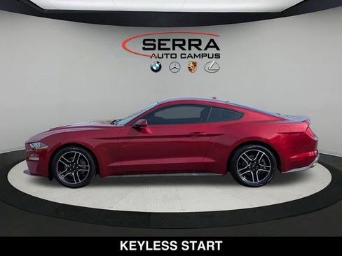 Used 2018 Ford Mustang Premium w/ Equipment Group 201A RWD image 14