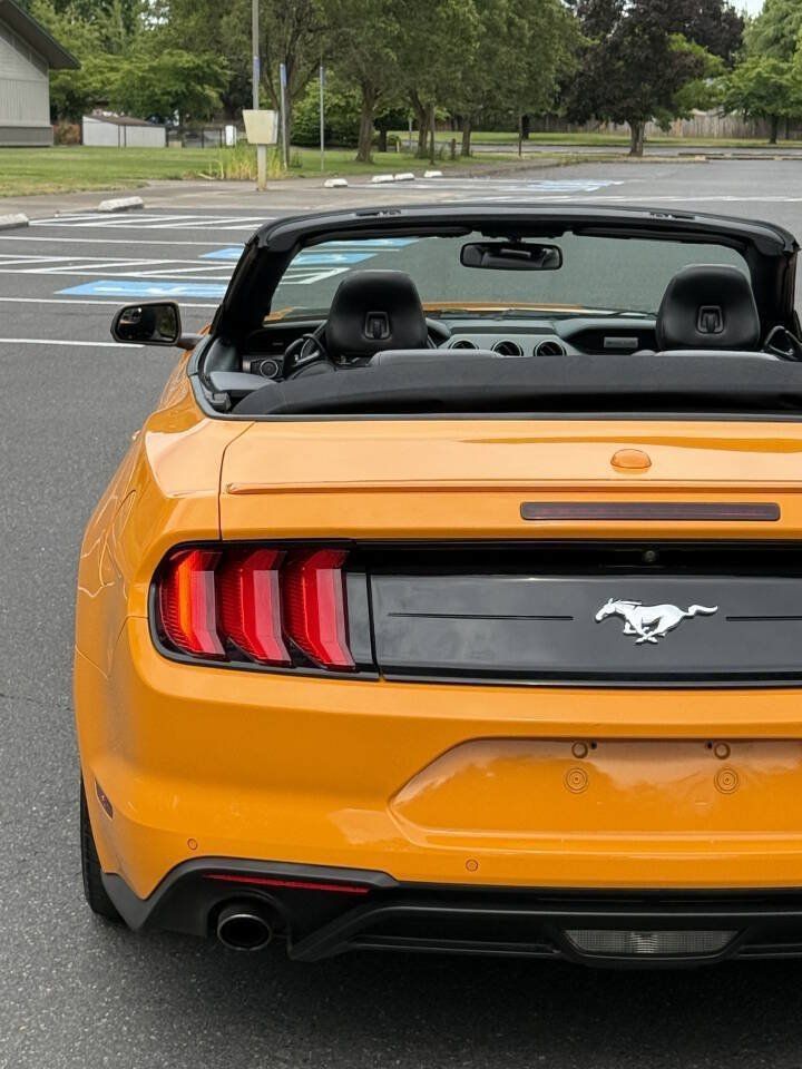 Used 2018 Ford Mustang Premium w/ Equipment Group 201A RWD image 6