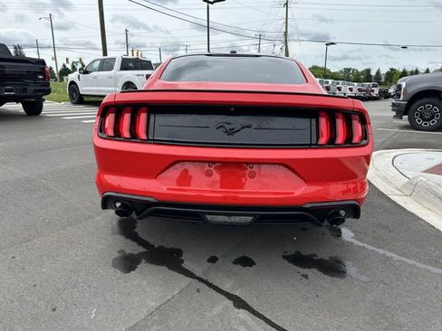 Certified 2019 Ford Mustang Coupe w/ Equipment Group 101A RWD image 3