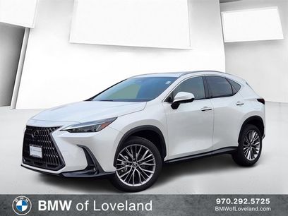 Used 2025 Lexus NX 350h AWD w/ Cold Area Package