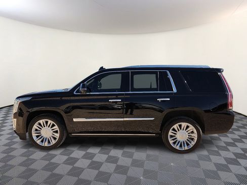 Used 2019 Cadillac Escalade Platinum image 2