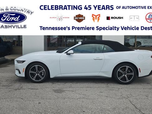 Used 2024 Ford Mustang Premium RWD image 1