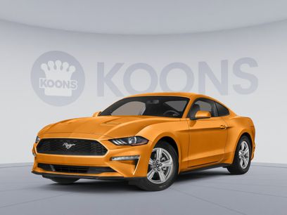 Used 2019 Ford Mustang Coupe w/ Equipment Group 101A