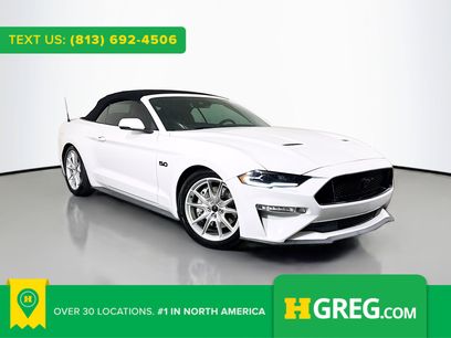 Used 2019 Ford Mustang GT Premium w/ Equipment Group 401A
