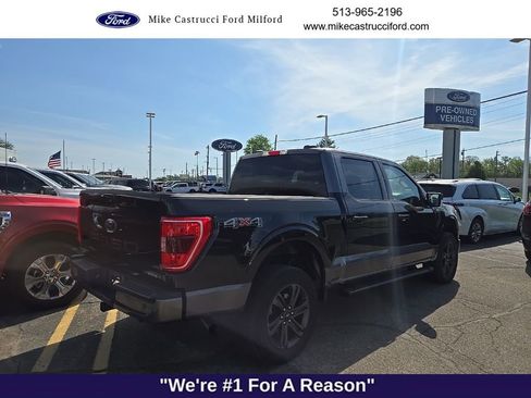 Used 2023 Ford F150 XLT w/ Equipment Group 302A High image 5