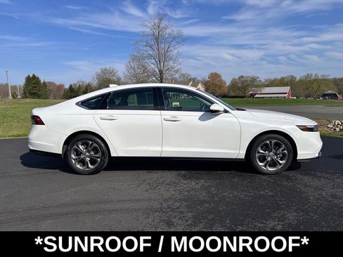 Used 2024 Honda Accord EX-L image 10