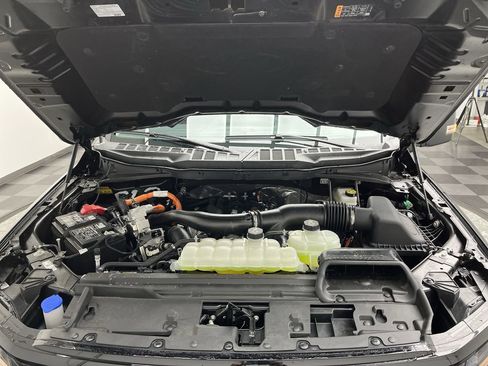 New 2025 Ford F150 XLT w/ Equipment Group 303A High AWD/4WD image 30