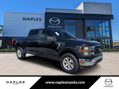 Used 2023 Ford F150 XLT