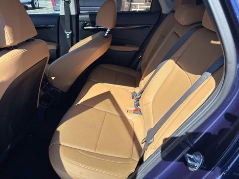 Used 2024 Kia Seltos SX w/ SX Sunroof Package image 16