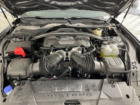 New 2025 Ford Mustang GT Premium w/ Mustang Nite Pony Package image 19