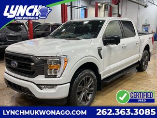 Used 2023 Ford F150 XLT w/ Equipment Group 302A High video 1