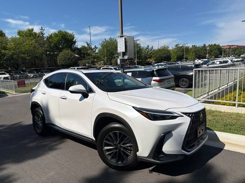 Used 2025 Lexus NX 350h AWD w/ Cold Area Package image 3