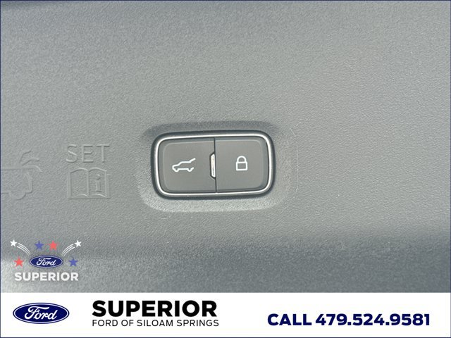 Used 2025 Ford Expedition Tremor AWD/4WD image 13