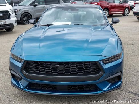 Used 2026 Ford Mustang Premium w/ Mustang Nite Pony Package RWD image 6