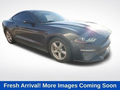 Used 2019 Ford Mustang Coupe