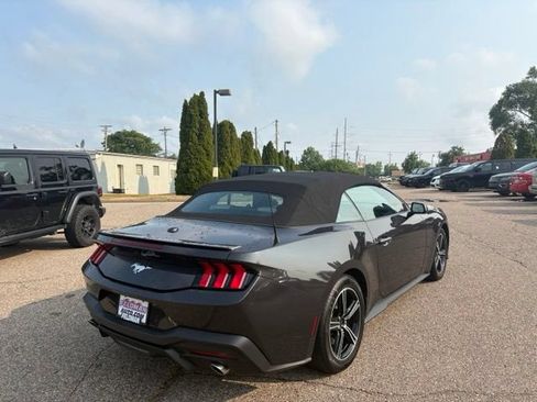 Used 2024 Ford Mustang Premium RWD image 5