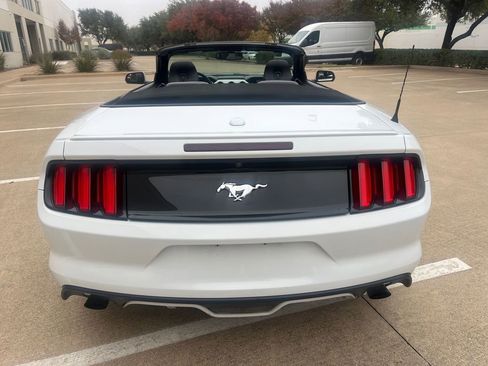 Used 2017 Ford Mustang Premium image 8