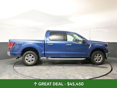 Used 2025 Ford F150 XLT w/ Equipment Group 301A Standard