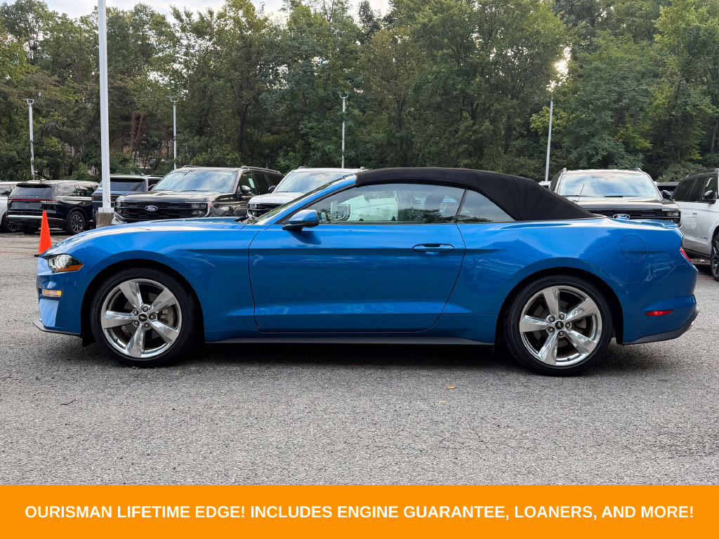 Used 2019 Ford Mustang Premium w/ Equipment Group 201A RWD image 4
