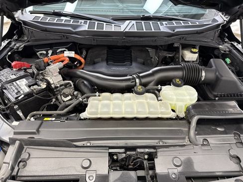 Used 2021 Ford F150 XLT w/ Equipment Group 302A High image 31