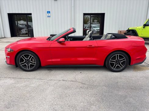 Used 2019 Ford Mustang Premium image 9